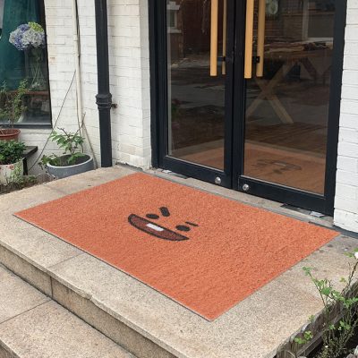 New style gout modelling plastic door mat (3)
